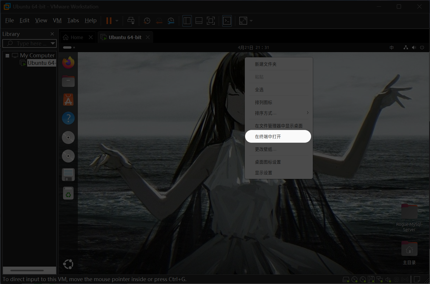 虚拟机中的样子