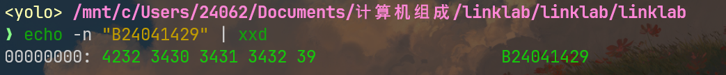 xuehao