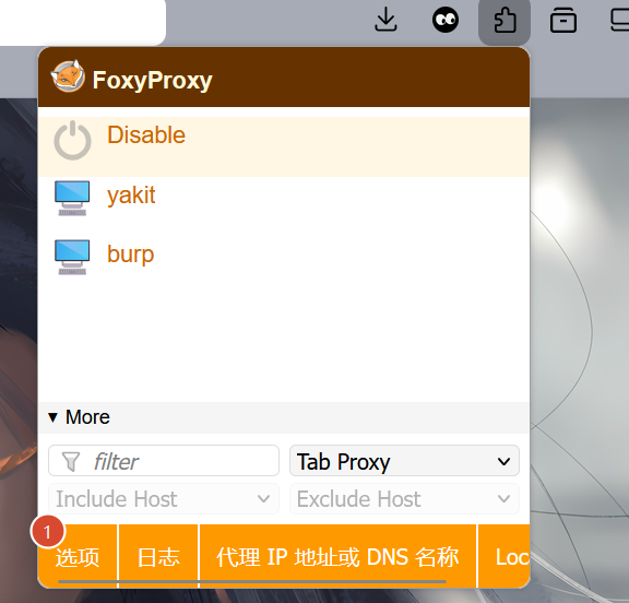 proxy